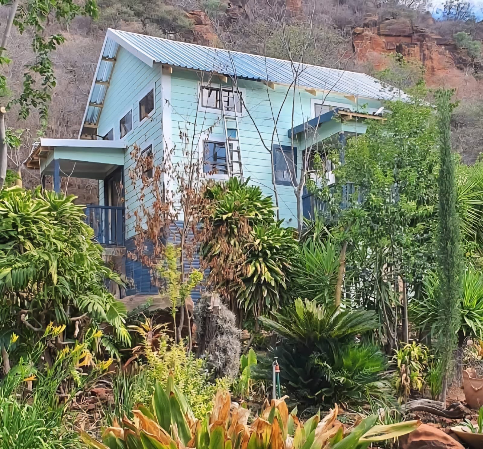 build-nutec-port-elizebeth